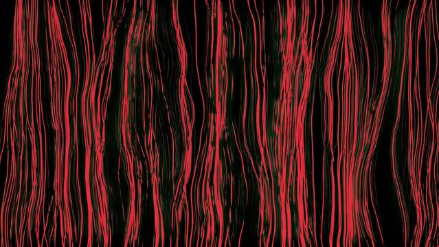 Black background.Design.The bright purple and red lines in the animation are thin in size and fluctuate across the background.