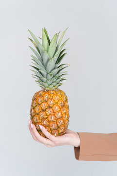 Outstretched hand with ripe juicy honey pineapple. Isolated on white background. Place to copy. Vertical banner.
