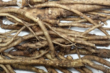 Fresh dandelion roots, lat.Taraxacum officinale on white. Very good for detoxication and healthy liver.  Flat lay.
