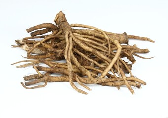 Fresh dandelion roots, lat.Taraxacum officinale on white. Very good for detoxication and healthy...