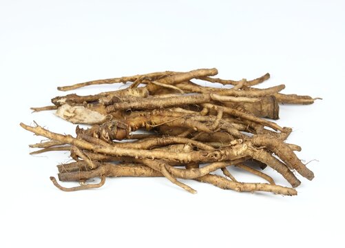 Fototapeta Fresh dandelion roots, lat.Taraxacum officinale on white. Very good for detoxication and healthy liver.