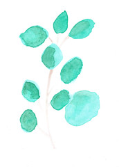 Eucalyptus branch with leaves, nature, plant. Watercolor hand drawing illustration. Color art modern