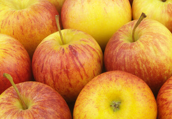 Many ripe yellow-red apples close up as background	