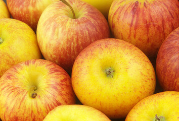 Many ripe yellow-red apples close up as background	