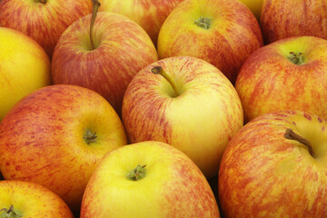 Fototapeta na wymiar Ripe yellow-red apples background 