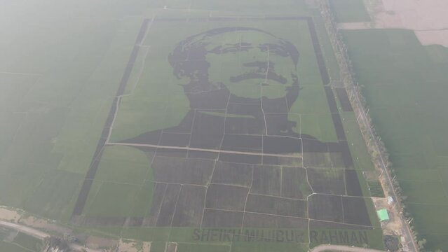 Bangabandhu Sheikh mijib mosaic aims crop field in bangladesh aerial view