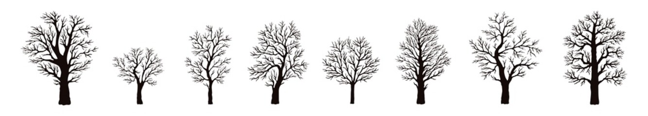 Trees without leaves. Silhouettes of trees with branches of 8 pieces on a white background in a vector on a white background. Oak, maple, fruit trees. Flora. Vector illustration. Set of trees.
