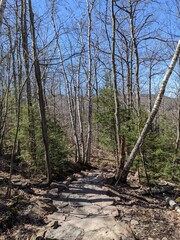 Overview of the Catskills Mountains in Haines Falls, NY - April 2022