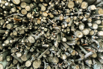 Photography on theme big wall of stacked oak tree logs in cracks