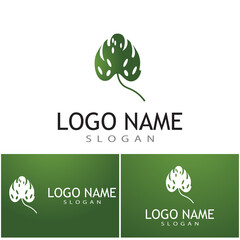 Monstera leaf logo vector design