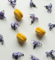 Yellow macaroons  with violet hyacinth on white background
