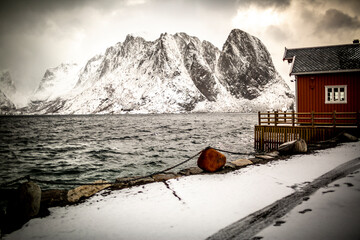 Reine1