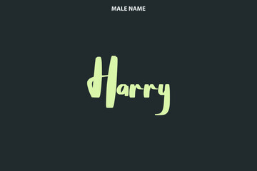 Baby Boy Name Harry in Stylish Lettering Bold Typography Text