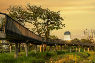 Big trees, a new natural environment park in the heart of Bangkok.