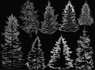 eight fir tree white outlines on black