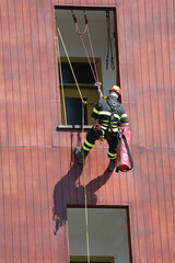 firefighter in action in the fire station with the harness to climb the building
