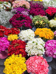 colorful beautiful flower bouquets in a florist as a background