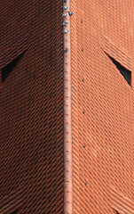 roof with red terracotta tiles with the ridge in half and some doves