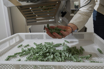 Fabrication de p&acirc;tes &agrave; la spiruline.
