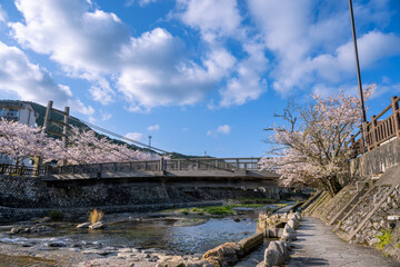桜咲く春の長門湯本温泉