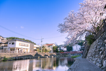 Fototapeta na wymiar 桜咲く春の長門湯本温泉
