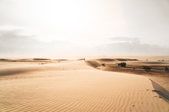 dunas