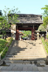 深大寺　茅葺きの山門（東京都調布市　2022）Jindaiji Temple Thatched Roof Gate (2022, Chofu City, Tokyo)