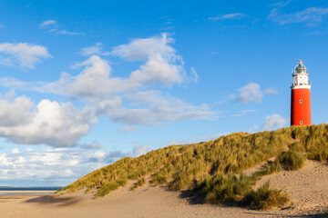 Fototapeta na wymiar Lighthouse of Texel on the beach