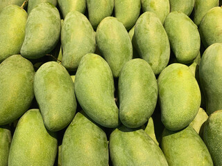 Top view of many fresh mangos in the supermarket. Green mango background of Thailand. Lots of green mangos for background.