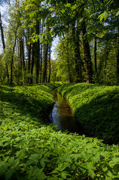 Kleiner Fluss im Gr&uuml;nen