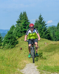 Fototapeta na wymiar Älterer Radfahrer entspannt unterwegs im Gebirge mit einem Pedelec