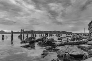 Monochrome Uferlandschaft am See
