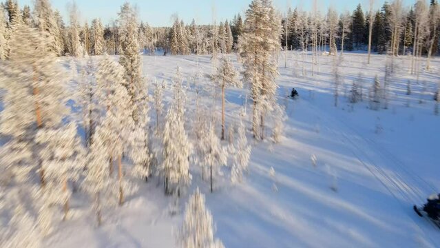 Aerial view of a snowmobile riding across the forest in wintertime, Overtornea, Sweden.