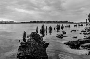Uferlandschaft am See in Monochrom
