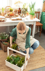 girl plants flowers in pots in spring