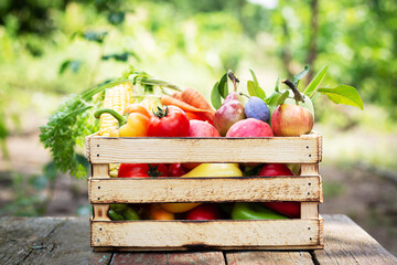Organic local vegetables and fruit in wooden crate
