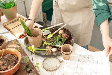 girl plants flowers in pots in spring