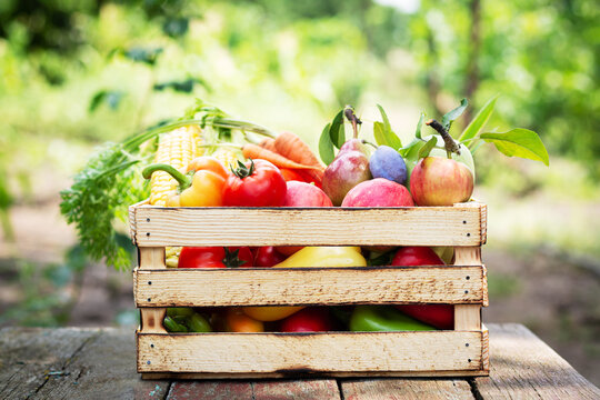 Organic local vegetables and fruit in wooden crate