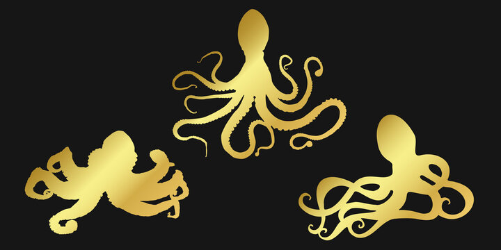 Set black octopus, devilfish or poulpe sign icon on white background. Vector clipart illustration