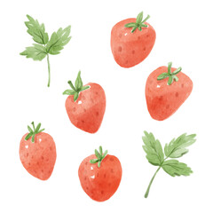 Watercolor set of strawberry with leaves. Hand-drawn illustration isolated on the white background.
