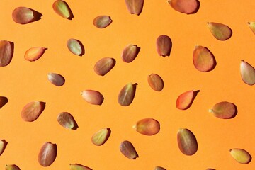 background, red and green small  leaves on  orange background 