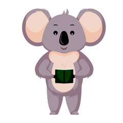 Cute koala reading book isolated on white background. Cartoon character student.