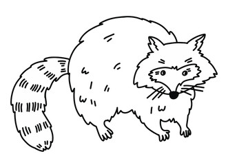 Raccoon isolated on white background. White and black cartoon illustration. Coloring book