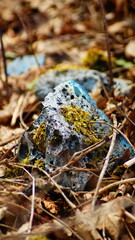 blue rock