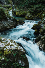 Fototapeta premium Beautiful Vintgar Gorge in Slovenia in Summer