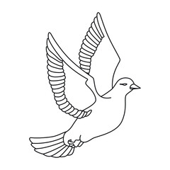 Dove one line, outline black, vector drawing

