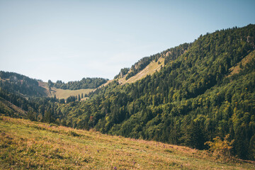 View of the mountains in the summer