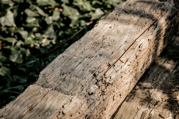 stare drewno tło - mock up - do zdjęć - podest drewniany - w ogrodzie na wsi - naturalny podkład do zdjęć - obrazy, fototapety, plakaty