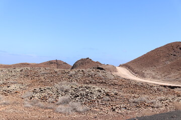 landscape in the desert