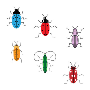 set of six colored beetles
